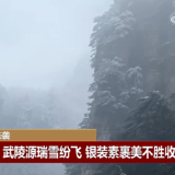 景美人更美 张家界国家森林公园频频亮相海内外媒体