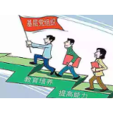 高质量发展农村党员的保靖调查 