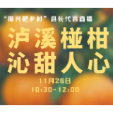 泸溪椪柑，沁甜人心   11月26日“振兴吧！乡村-县长代言” 看直播下订单