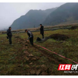 桑龙高速龙山段建设前期工作稳步推进