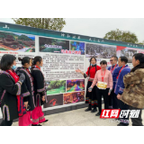 相约龙山，缘起太平：“旅游+”擦亮龙山文旅产业品牌