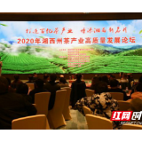2020年湘西州茶产业高质量发展论坛在吉首举行