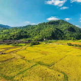 打开“天井” 迎来幸福日子——长沙望城区对口帮扶龙山县天井村纪实