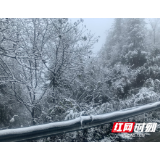 红视频丨雪舞王木迎冬来