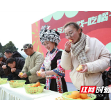 保靖举办柑橘营销节,当日销售柑橘227万斤