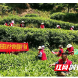 湘西州计生协开展会员支农文明志愿服务活动