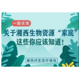 一图读懂丨关于湘西生物资源“家底”，这些你应该知道！