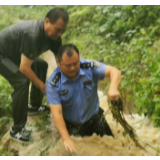 吉首普降特大暴雨 湘西州公安局戒毒所民警徒手疏通涵洞