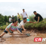 国网泸溪供电公司：捉稻花鱼 话丰收年