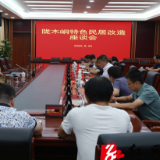 清华大学张修鋮一行调研陇木峒村特色民居改造工作