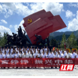 龙山:凤凰县新老党员到茨岩塘开展革命传统教育