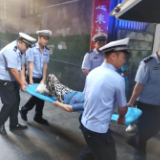保靖：老人不慎滑倒受伤  办证交警速伸援手
