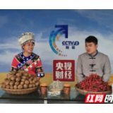 美丽科皮展魅力 央视《走村直播看脱贫》走进永顺科皮村