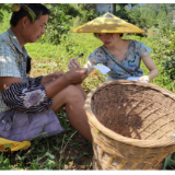 保靖：千里之外受委托，田间地头促执行