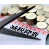 保靖税务落地减税降费政策服务经济新发展