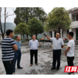 保靖：梁文昌深入一线调研开学相关工作