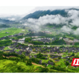 龙山被评为2020年度全州全域旅游发展优秀县市
