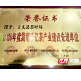 古丈县茶叶局连续三年获得湖南千亿茶产业建设先进单位