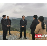 叶红专调研永顺县黄金茶和油茶产业