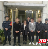 阻断“裸聊”诈骗链条 泸溪公安抓获7名电诈犯罪嫌疑人
