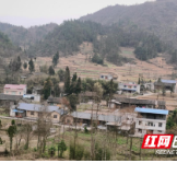 但得金秋润物华——龙山县大红村推进乡村振兴纪实