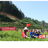 湘西州卫监局：党史学习进基层 助农服务到苗寨