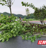 吉首双塘：道路隐患急处理 群众安全有保障