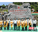 红视频 | 擦亮金字招牌！2021年中国重要农业文化遗产揭牌暨保靖黄金茶种质基因库启动