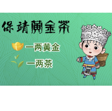 微动漫 | 为什么说保靖黄金茶“一两黄金一两茶”？