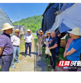 吉首双塘街道：发挥后盾作用 推进乡村振兴