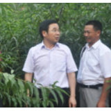 燕语桃林依旧,化作春泥更护花