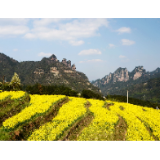 “乡村富美图”展开小康新成色