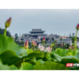 “面子里子”一起抓，共同点亮“农村美”