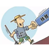 两会网评丨与民同劳动，姿势很重要