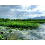 以“湿”为诗，擘画潇湘生态美景