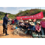 “瓷都” 醴陵科技服务，凭什么“破圈出阵”？