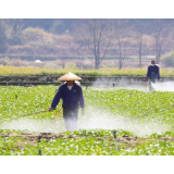 两会大家谈|万象“耕”新,不负农时不负春