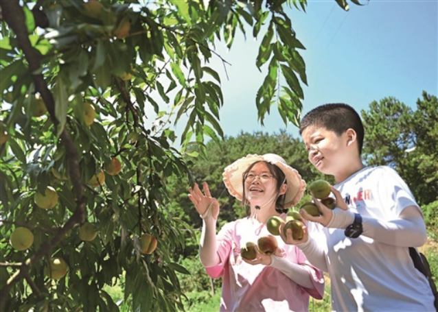 ▲ 长沙市望城区桥驿镇黑麋峰村挖掘乡村风光，打造精品果园，推动旅游发展，带动村民增收，助力乡村振兴。（图片来源：湖南省乡村振兴局官网）.png