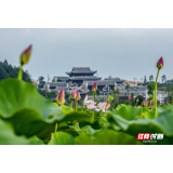 评论丨“千万工程”推进乡村振兴的生动例证