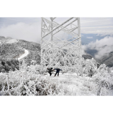 评论丨应对雨雪冰冻，鱼水情深从未缺席