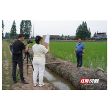 评论丨“田野网红”折射新农业“破圈”发展
