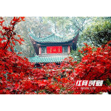 陈献春：推进场景革命和旅游化，培育旅游经济增长新动能
