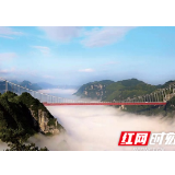 评论丨智慧文旅：让服务足够“聪明”和高效