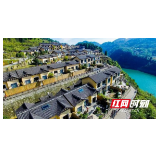 评论|乡村CEO,激活乡村振兴“内生动力”