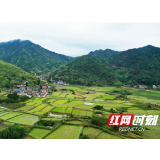 观察 | 中央一号文件六提“保险”有何深意？ 