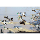 评论丨抓牢发展“绿底色” 三湘生态更辉煌