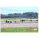 评论｜守牢安全底线，挺起中部“脊梁”