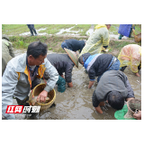 评论丨打破“天花板” 培育乡村振兴“生力军”