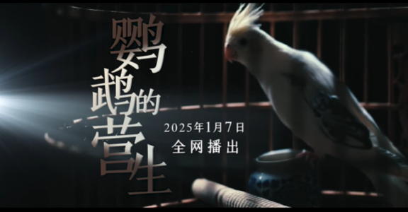 微信图片_20250110094752.png