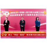 两会网评丨委员“高言值”，彰显拳拳为民情怀